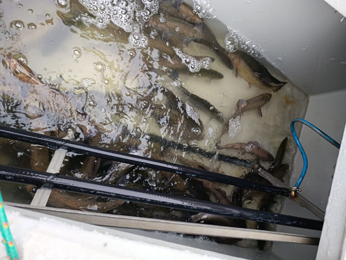 Snímek obrazovky 2026-01-22 085841.png